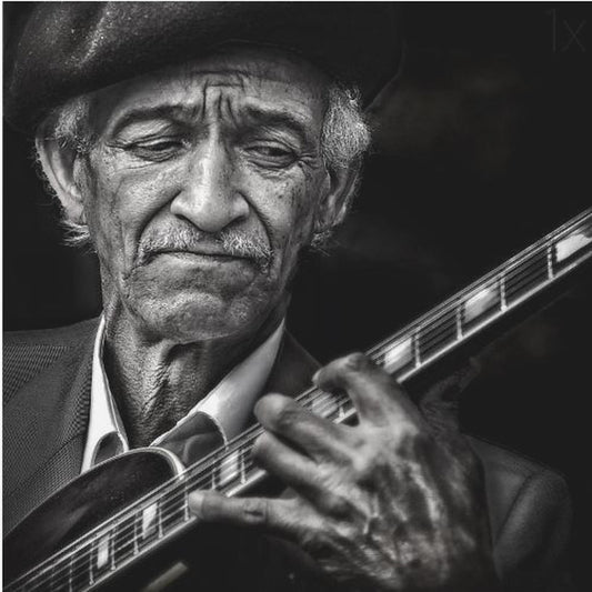 the guitarist | Canvas