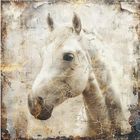 Horse Vintage Art Illustration 02 | Poster