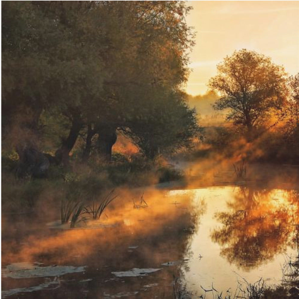 Quando la natura dipinge con la luce io | Stampe su Tela