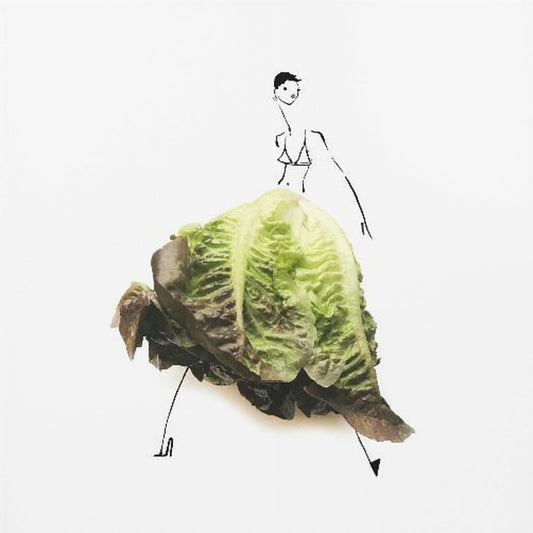 Lettuce | Canvas
