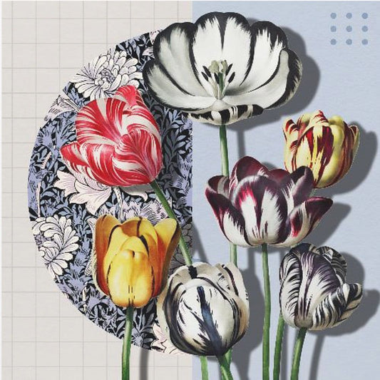 3d Collage With Tulips | Poster
