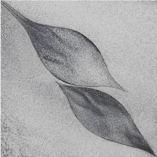 shaped by a creative wind | Canvas